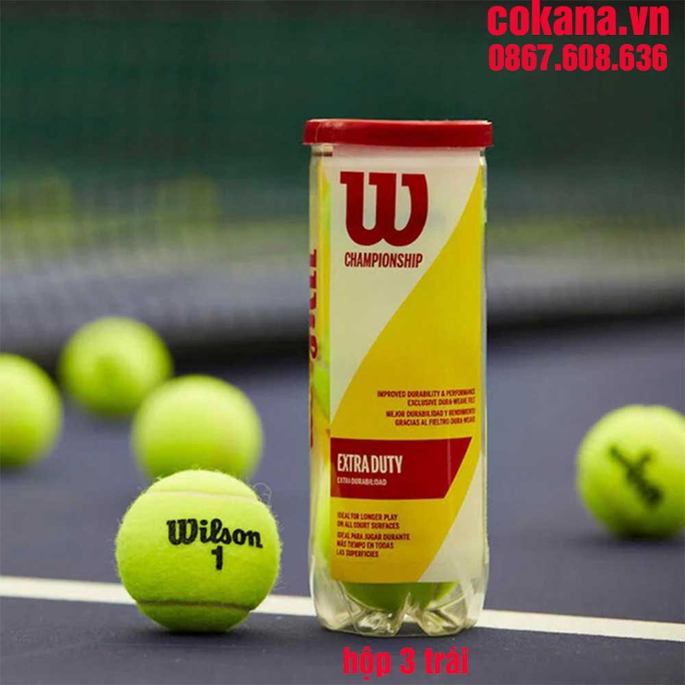 Banh tennis Wilson WRT110000 Championship đỏ hộp 3 trái - COKANA