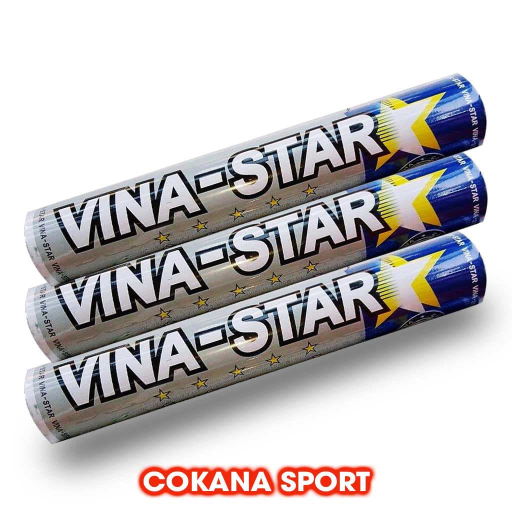 Cầu Lông Vina Star bạc xanh - COKANA