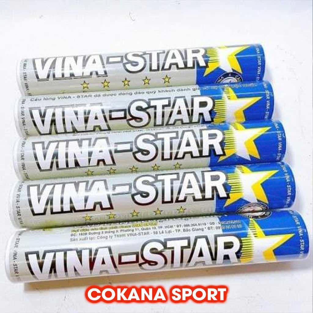 Cầu Lông Vina Star bạc xanh - COKANA