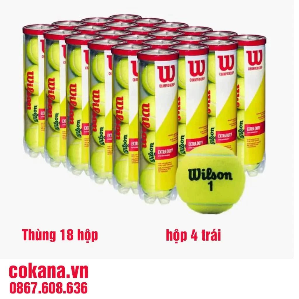 [Giá 160k khi mua từ 18 hộp]Quả bóng banh tennis Wilson WRT110000 Championship đỏ hộp 4 trái - COKANA