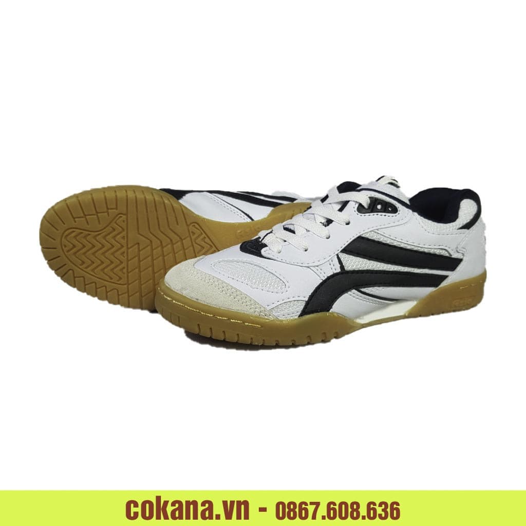 Giày Asia Sport Mcs02 cho cầu lông, bóng chuyền, bóng bàn - COKANA