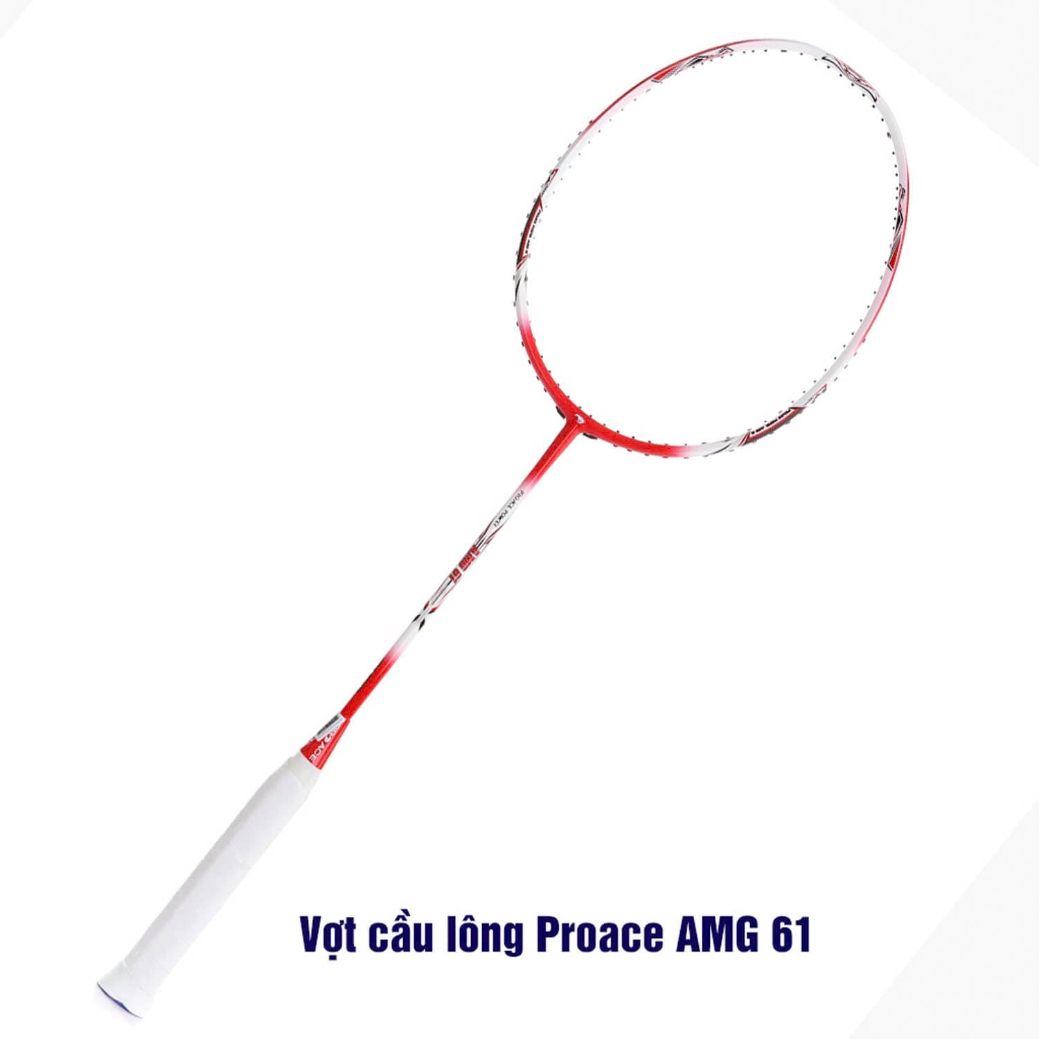 Vợt cầu lông Proace AMG 61 - COKANA