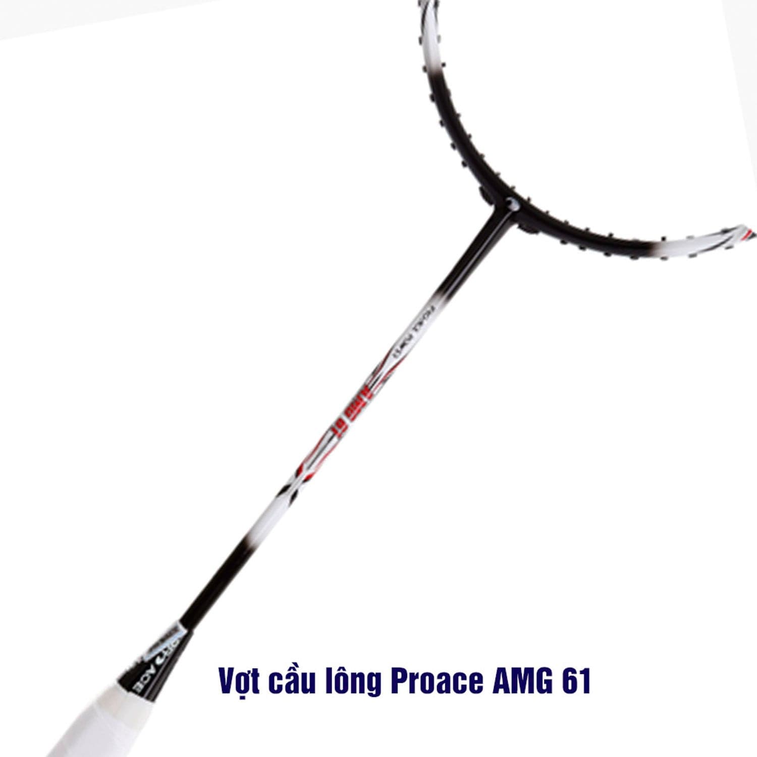 Vợt cầu lông Proace AMG 61 - COKANA