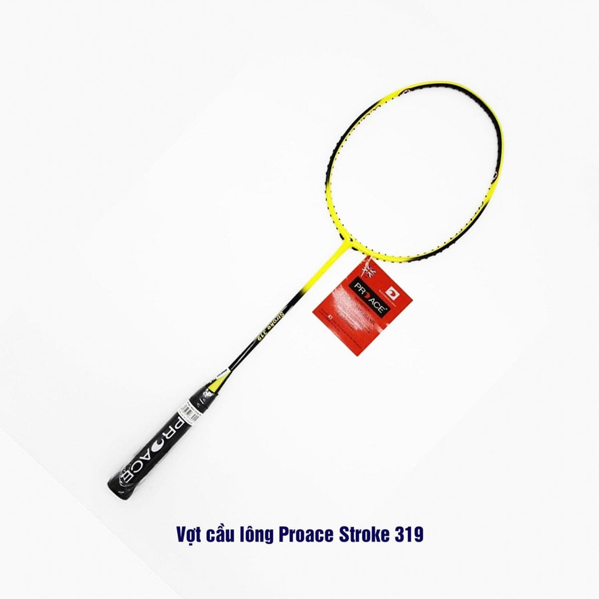 Vợt cầu lông Proace Stroke 319 - COKANA