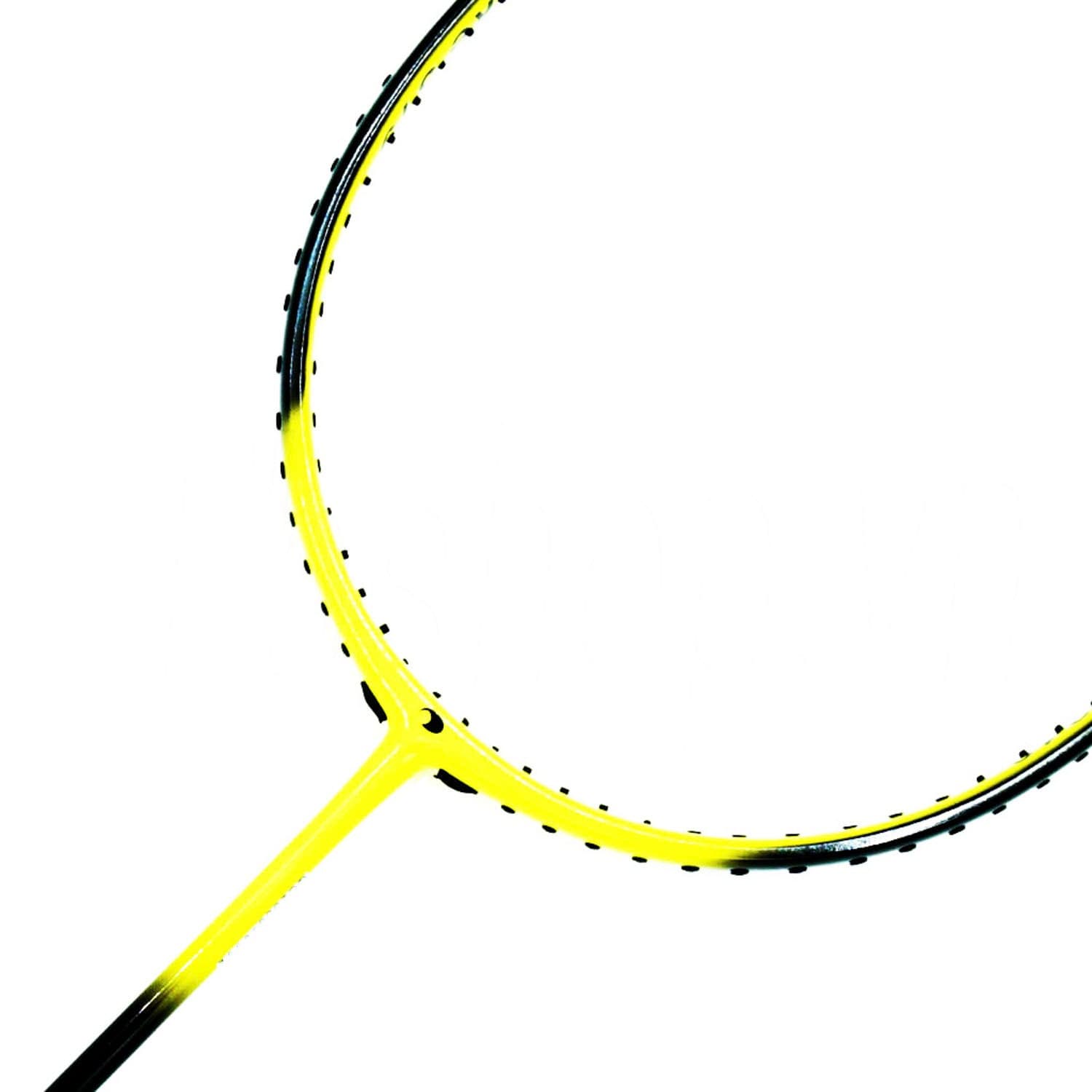 Vợt cầu lông Proace Stroke 319 - COKANA